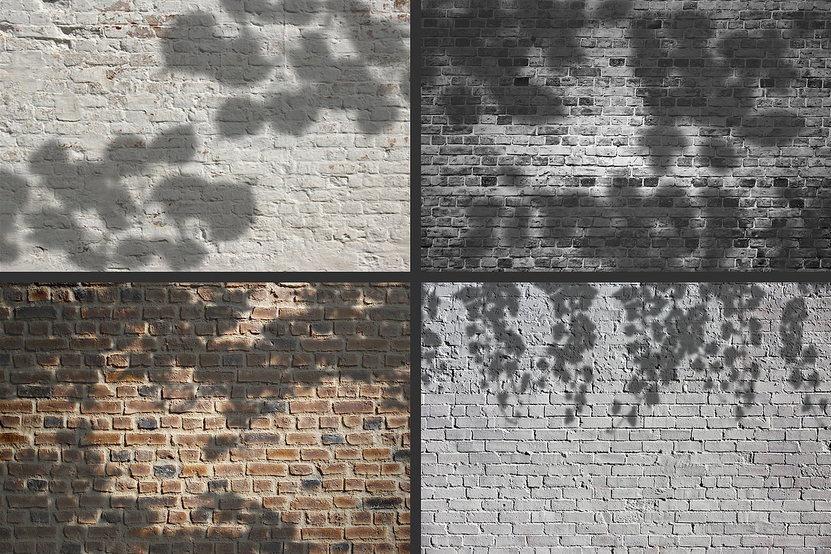 50 plants shadows, a Mockup by AnastasiyaOleynik (Photo 2 of 14)
