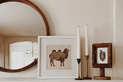 Desert animals collection, an Animal Illustration by handsketched (Thumbnail 8 of 9)