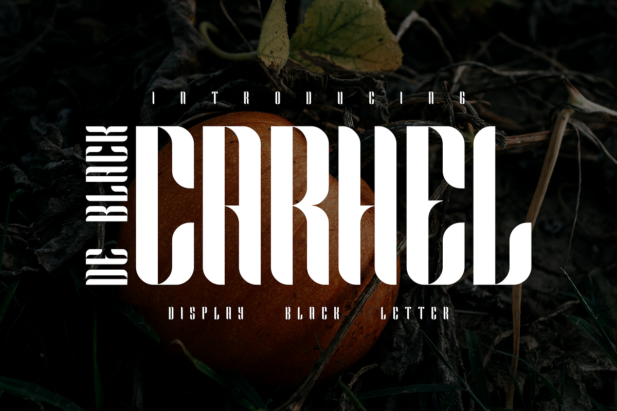 Carhel De Black Font, a Sans Serif Font by ponuppo (Photo 1 of 7)