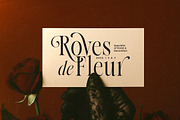 Native Designer - Delicate Serif, a Serif Font by Sarid Ezra (Thumbnail 2 of 9)