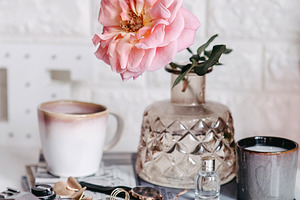 Pink rose in a vase stock photo containing rose and vase
