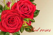 Collection of red roses, an Illustration by SokolovaSv (Thumbnail 1 of 4)