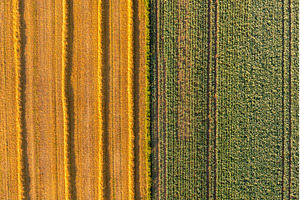 Aerial view of the field during, a Technology Photo by MadPhotos