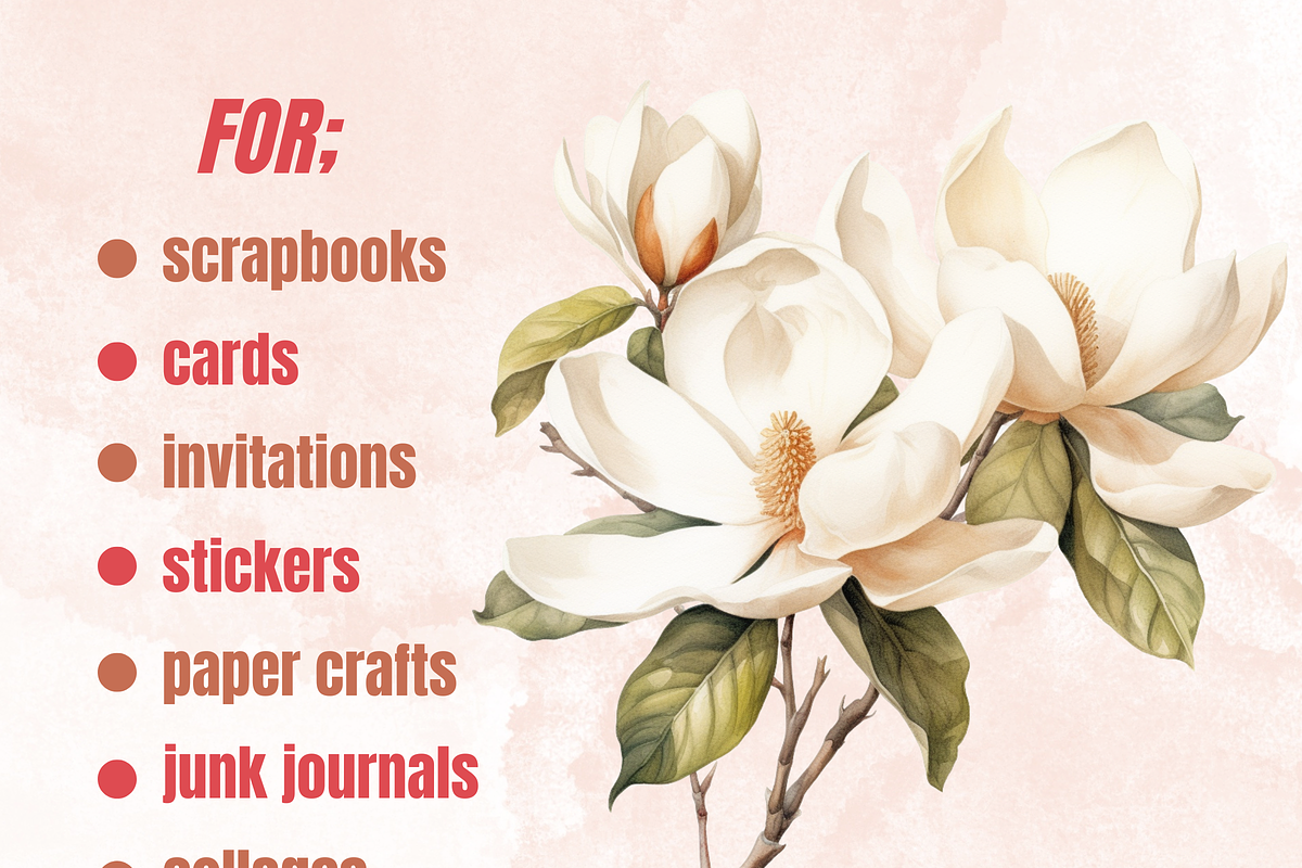 Watercolor Magnolia Flowers Set, a Decorative Illustration by GiraffeCreative (Photo 3 of 8)