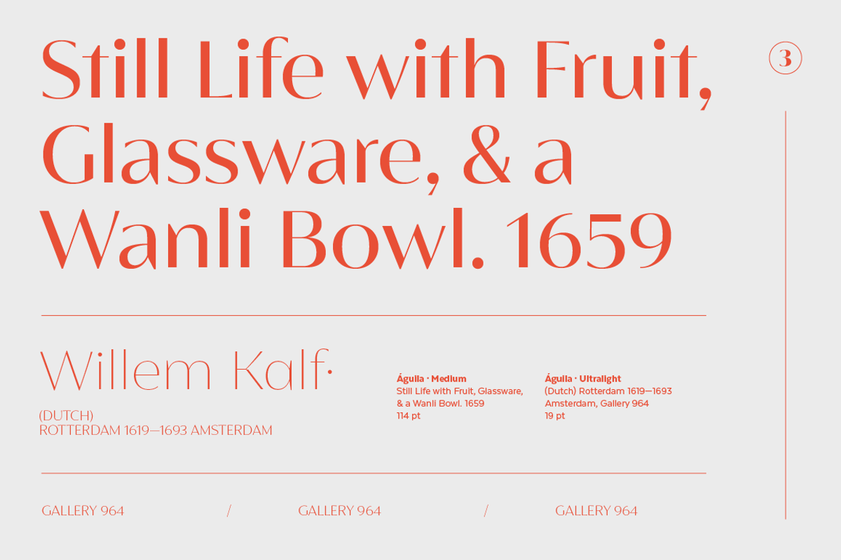 Águila, a Sans Serif Font by Latinotype (Photo 7 of 15)