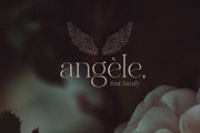 Elegant serif font family Angele, a Serif Font by Angele Kamp (Thumbnail 8 of 9)