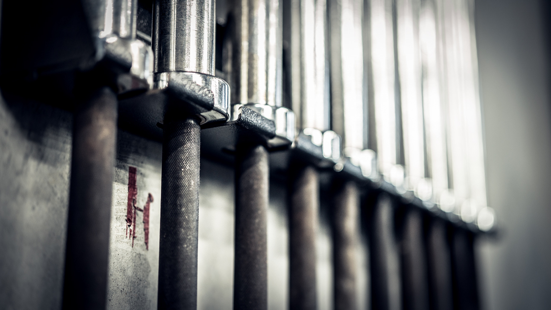 Rack Of Barbells Hanging At A Gym, a Sports & Recreation Photo by Snake Eye Media