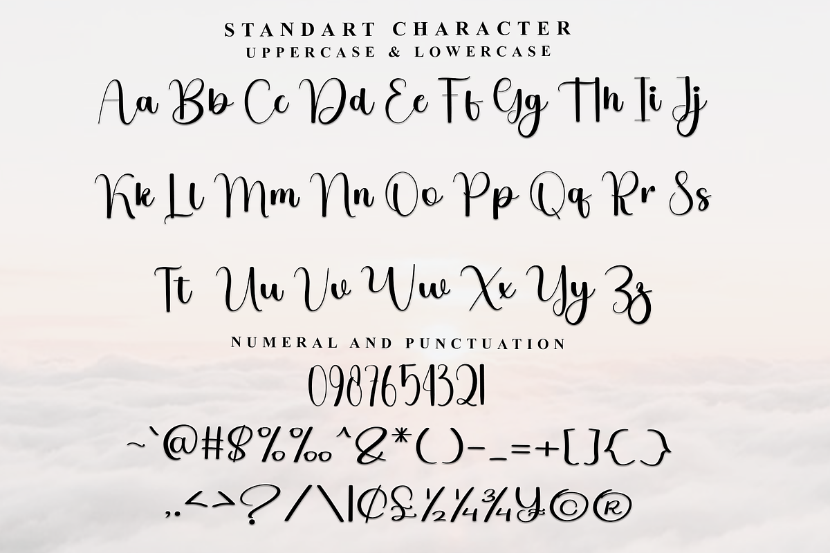 Delight Wedding, a Handwritten Font by InermediaSTUDIO (Photo 2 of 8)