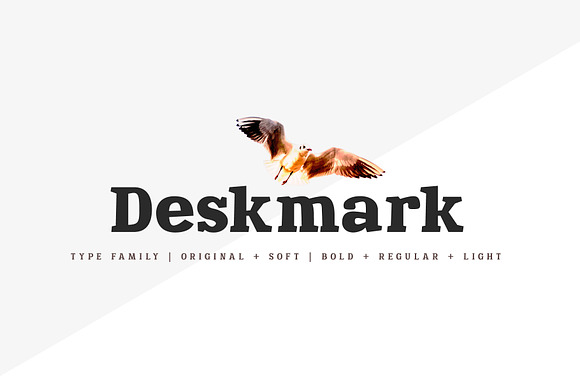 Deskmark Slab Pro Typefamily preview 8