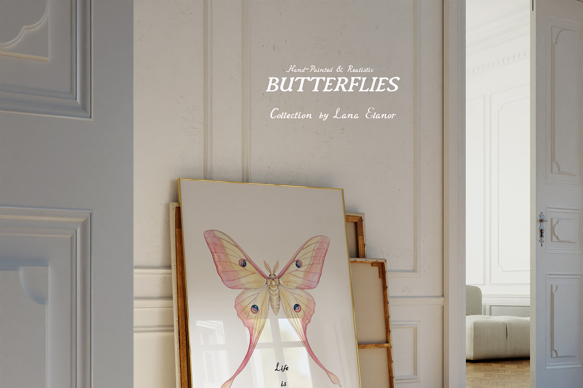 Butterflies Collection, an Object Graphic by Lana Elanor (Photo 2 of 11)