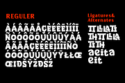 Cangkemu, a Sans Serif Font by Differentialtype (Thumbnail 10 of 10)