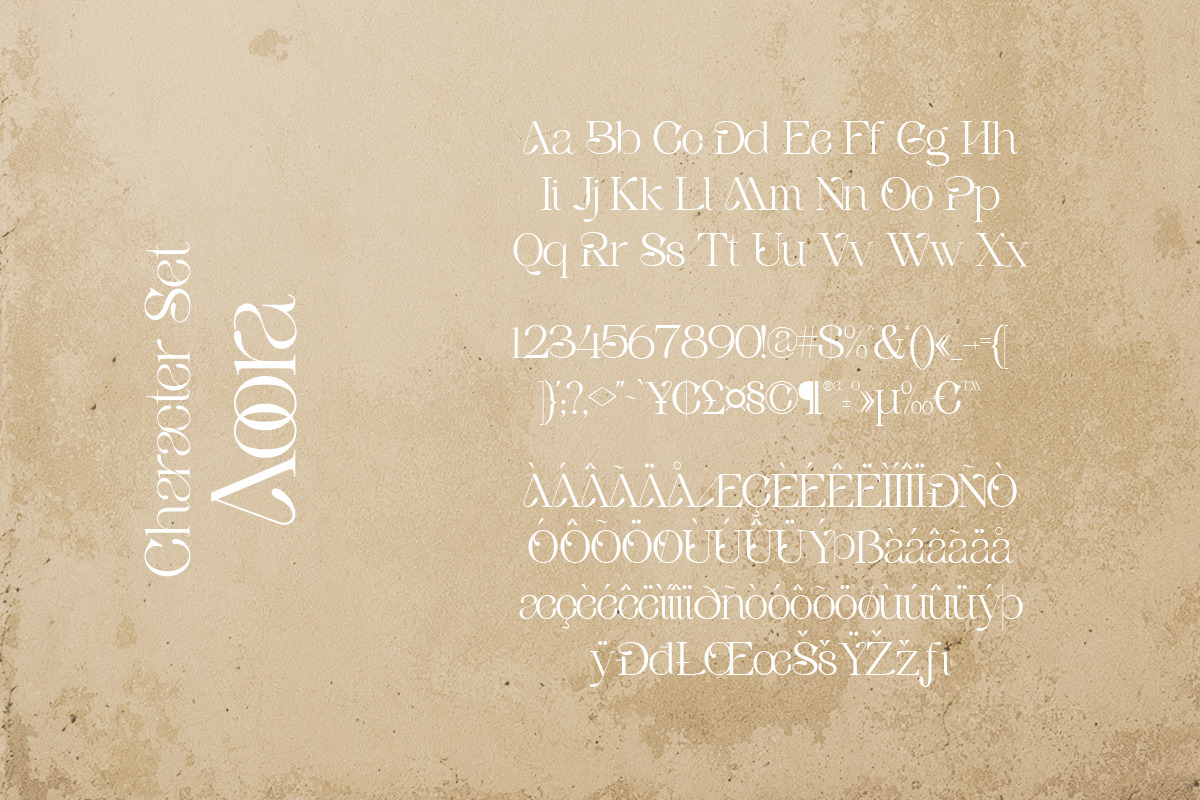 Aoora - Modern Luxury Serif, a Serif Font by Qweera Studio (Photo 11 of 12)