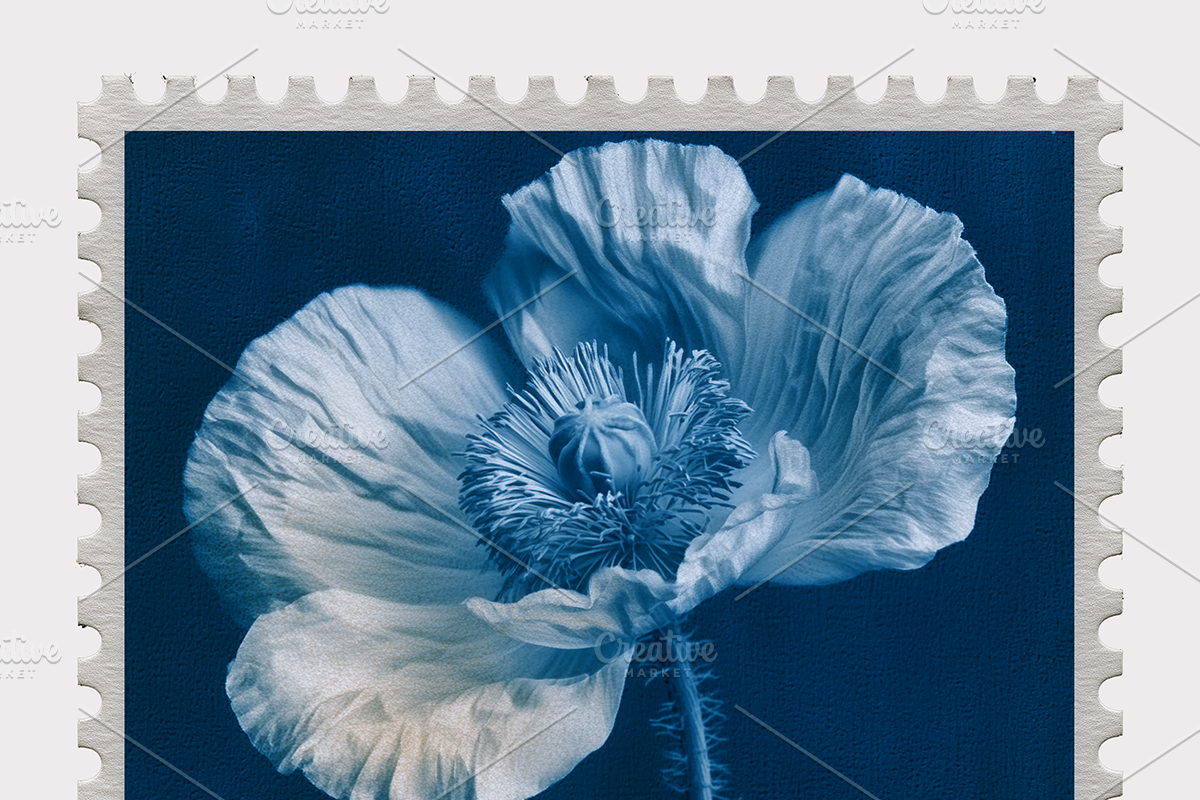 Lupa Co · Cyanotype Botanical Stamps, a Texture Illustration by milatovar (Photo 17 of 18)