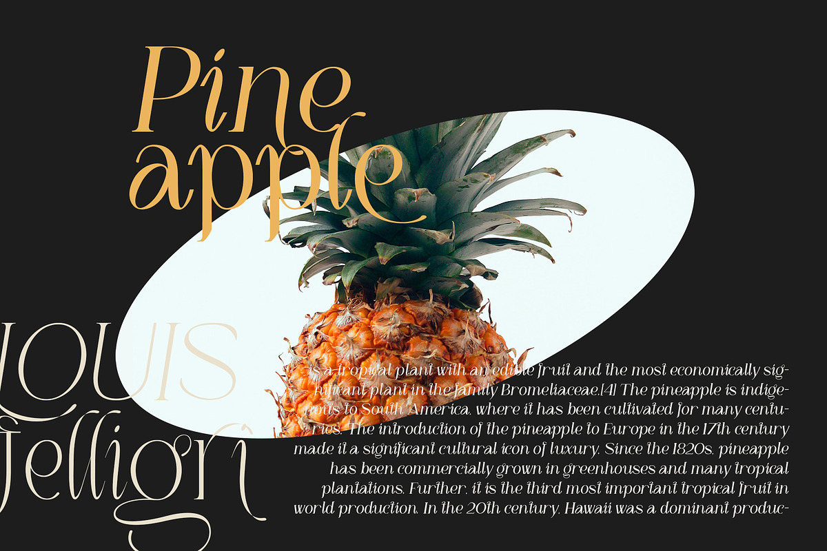 LOUIS felligri | Serif Display Font, a Serif Font by Jolicia Type (Photo 12 of 15)