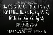 Sentimental Journal, a Handwritten Font by FreshTypeINK (Thumbnail 8 of 8)