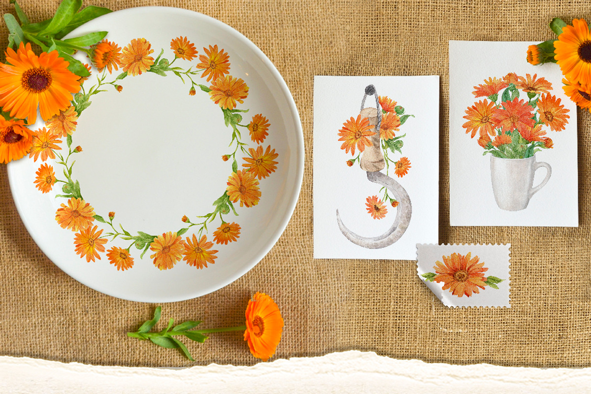Solar Calendula. Watercolor set, an Illustration by Tata Pilip (Photo 5 of 7)