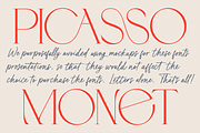 Karme // Modern Font Duo, a Serif Font by PeachCreme (Thumbnail 10 of 13)