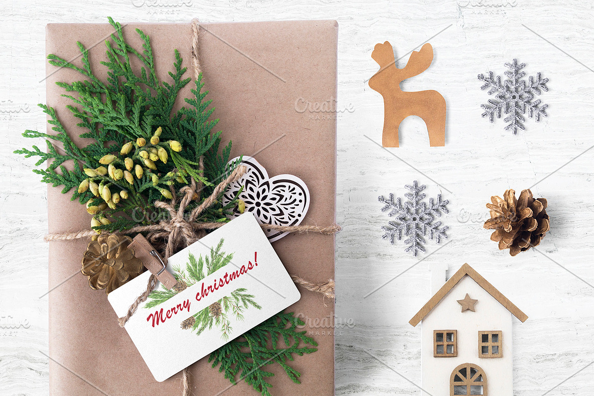 Christmas plant collection, an Illustration by Watercolor & sketches (Photo 8 of 9)