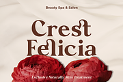 Velantia - Beauty Modern Serif Font, a Serif Font by NexaLine (Thumbnail 3 of 10)