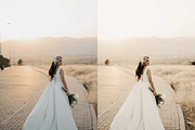 ELEGANT WEDDING VIDEO LUTS, a Plug-in Add-On by FOXIMIDesign (Thumbnail 7 of 7)
