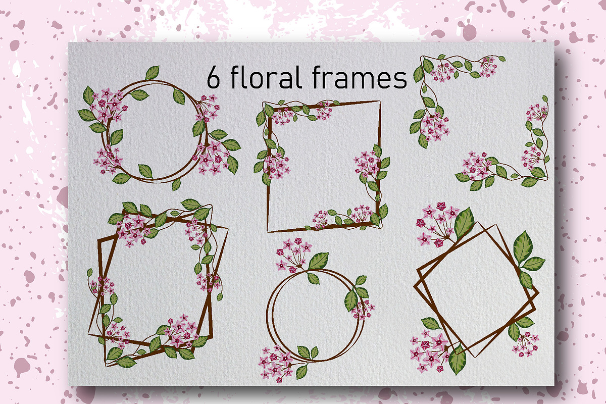 Hoya carnosa - floral collection, a Texture Illustration by LogvinArt (Photo 4 of 8)