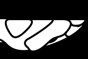 Snake Brush, a Brush Add-On by roscoepeacock (Thumbnail 4 of 7)