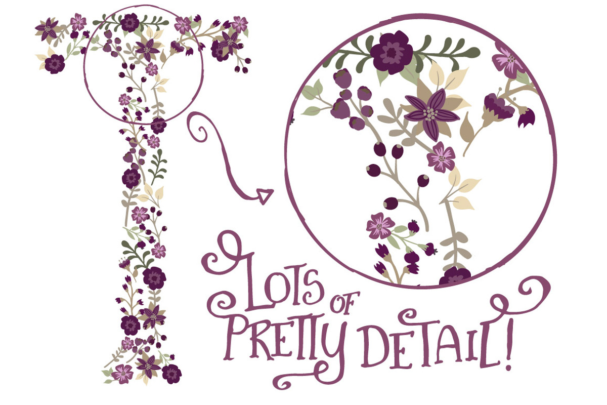 Deep Plum Vector Floral Alphabet, an Illustration by Amanda Ilkov (Photo 4 of 5)