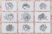50 Peony Flower Vector Illustrations, an Illustration by Inkwell Supply Co (Thumbnail 3 of 20)