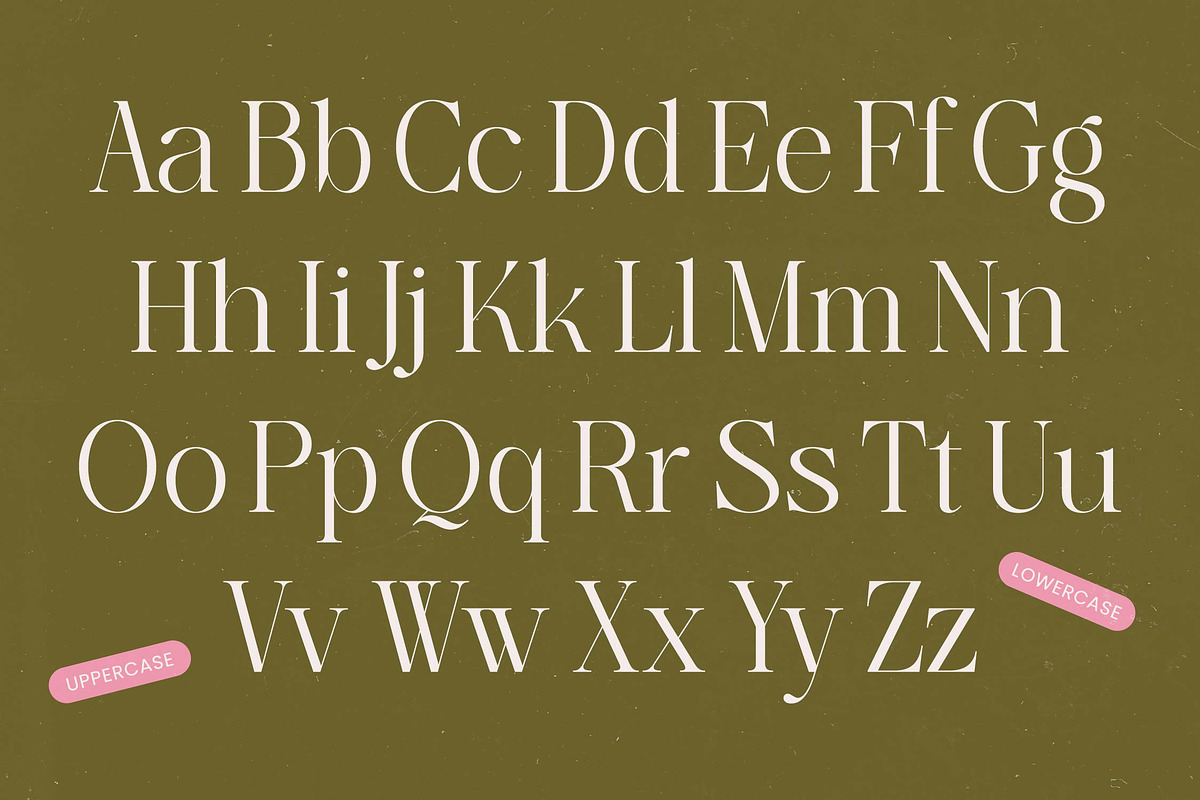 Bagvan Anstic Elegant Serif Font, a Serif Font by timelesstype.co (Photo 10 of 20)
