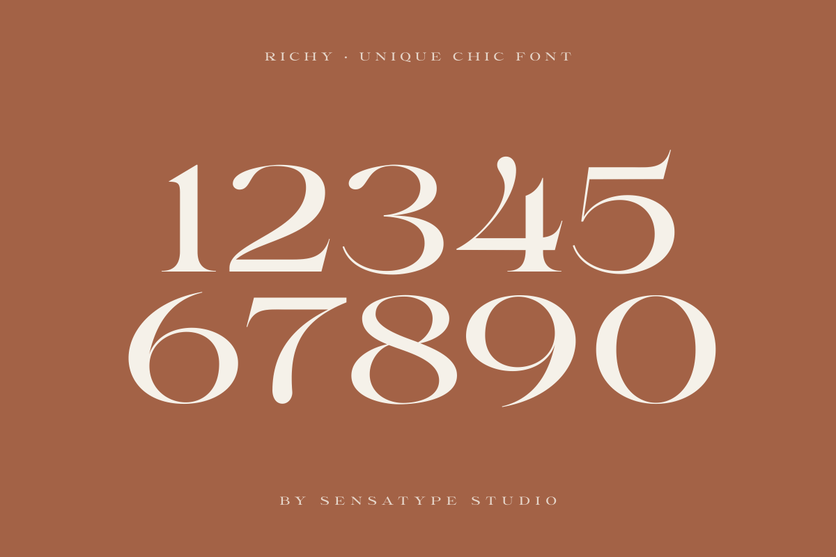 Richy - Unique Chic Font, a Serif Font by Sensatype (Photo 19 of 21)
