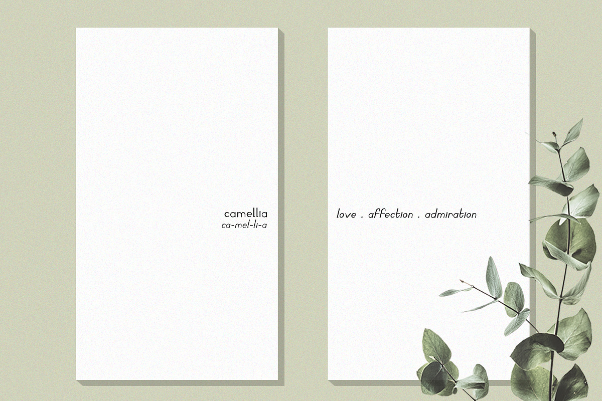 Camaly | san serif, a Sans Serif Font by white supply (Photo 2 of 5)