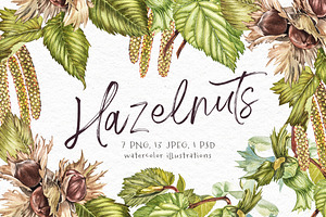 Hazelnuts in botanical style