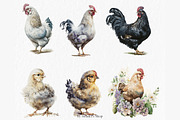 Village chickens Watercolor Clipart, an Object Graphic by MyLittleMeow (Thumbnail 5 of 7)