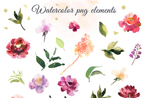 Watercolor Flowers. Floral Elements