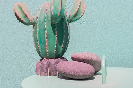 Cactus home decor on blue wall background. Summer vacation styli, a Nature Photo by Jenya Porechenskaya