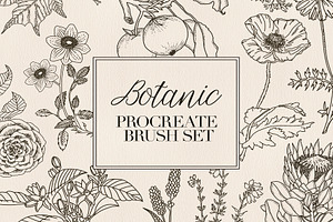 Procreate Stamps Botanic Brushes