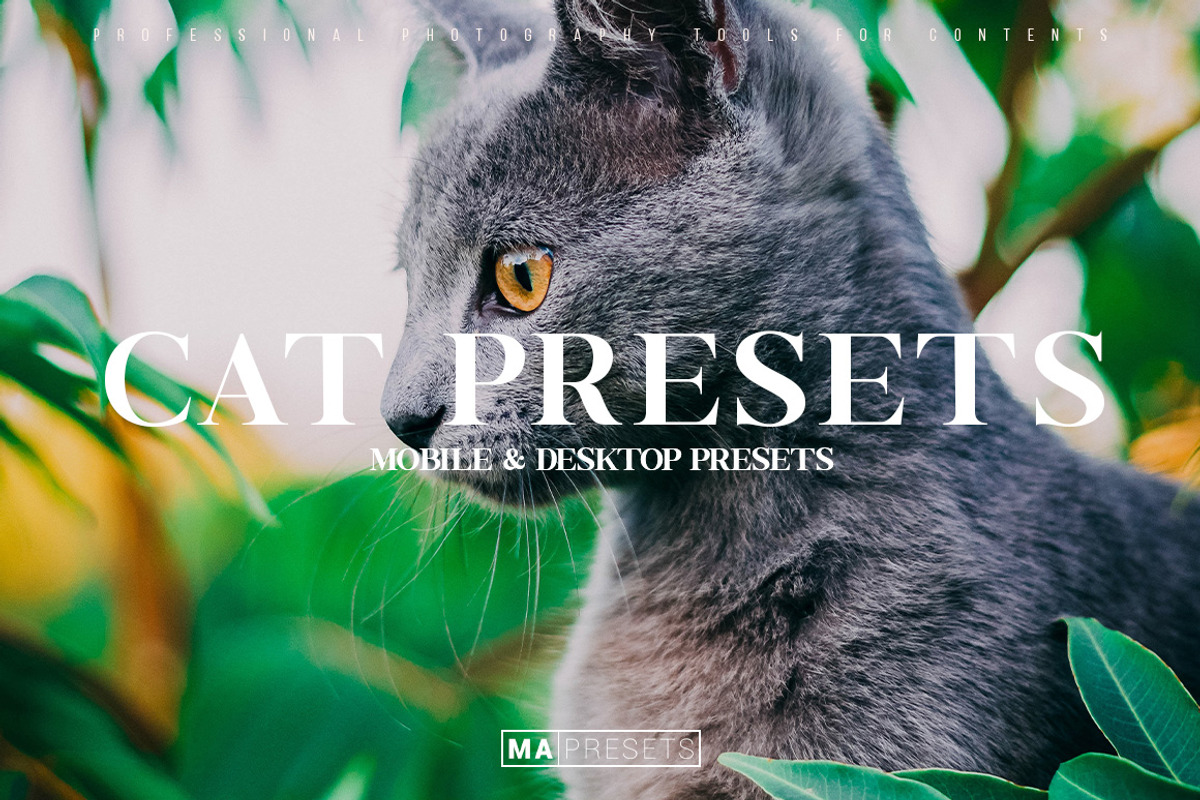 10 CAT Lightroom Presets, a Preset Add-On by MaPresets (Photo 1 of 15)
