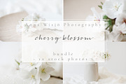 Cherry blossom | stock bundle containing stock photo, styled stock, and, a Nature Photo by Anna Wisjo Studio (Thumbnail 3 of 3)