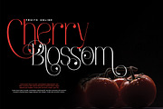Viona Niosa, a Serif Font by Bramcreative (Thumbnail 8 of 10)