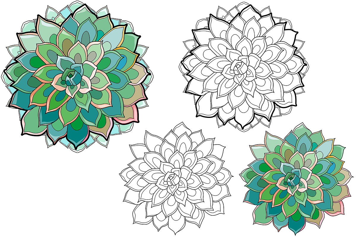 Succulents for coloring pages, a Decorative Illustration by Watercolor fantasy (Photo 9 of 13)