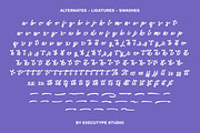 Mezotte - Bold Script Logotype, a Script Font by executypeStudio (Thumbnail 9 of 10)