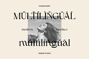 Higuen Elegant Serif, a Serif Font by ngene (Thumbnail 6 of 8)