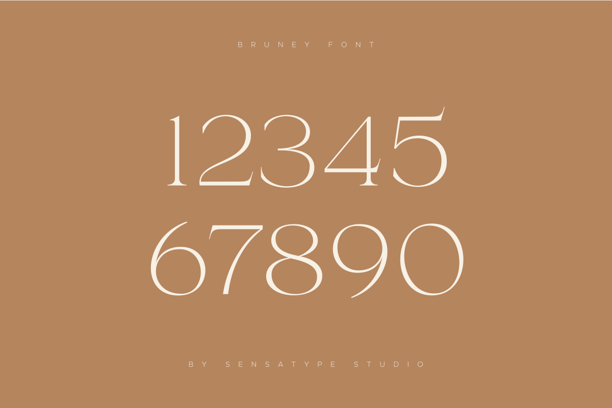 Bruney - Classy Ligature Font, a Serif Font by Sensatype (Photo 16 of 19)