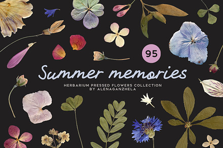 SUMMER MEMORIES - herbarium flowers