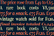 Norche - Serif Family, a Serif Font by Dora Typefoundry (Thumbnail 9 of 10)