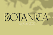 Avocado - Serif Font, a Serif Font by Anna Zakharchenko (Thumbnail 7 of 12)