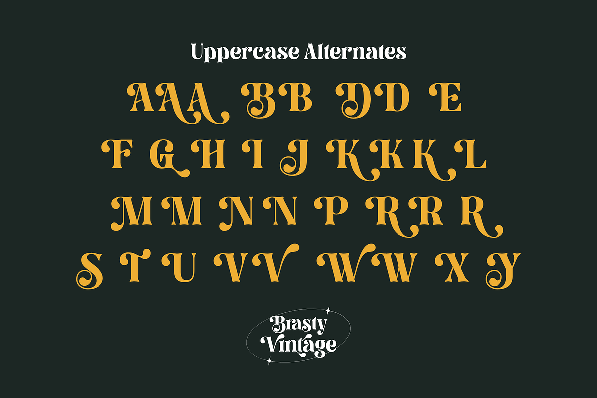 Brasty Vintage - Retro Serif Font, a Serif Font by Holyline Design (Photo 10 of 16)
