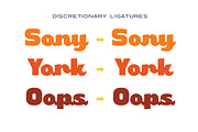 Rekina - Vintage Bold Script, a Script Font by Aksa & Nusa Co. (Thumbnail 4 of 9)