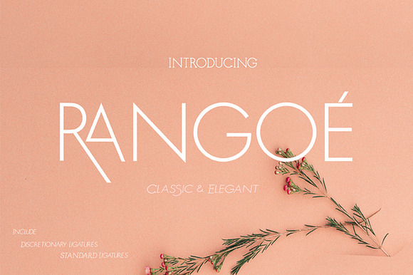 rangoe preview 8