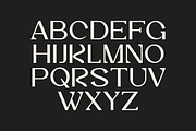 Vaggoe Elegant Serif Font, a Serif Font by Artiveko (Thumbnail 8 of 10)
